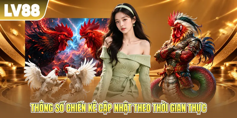 Thông số chiến kê cập nhật theo thời gian thực Thông số chiến kê cập nhật theo thời gian thực